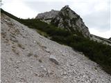 Sele-Zvrhnji Kot (Male) / Zell-Oberwinkel (Male) - Planina Korošica