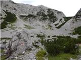 Sele-Zvrhnji Kot (Male) / Zell-Oberwinkel (Male) - Planina Korošica