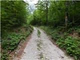 Sele-Zvrhnji Kot (Male) / Zell-Oberwinkel (Male) - Planina Korošica