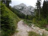 Sele-Zvrhnji Kot (Male) / Zell-Oberwinkel (Male) - Lokovnikov Grintovec / Grintoutz