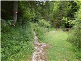 Sele-Zvrhnji Kot (Male) / Zell-Oberwinkel (Male) - Planina Korošica