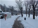 Bled (Velika Zaka) - Blejsko jezero