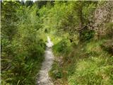 Sele-Zvrhnji Kot (Male) / Zell-Oberwinkel (Male) - Planina Korošica