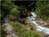 Sele-Zvrhnji Kot (Male) / Zell-Oberwinkel (Male) - Planina Korošica