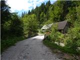 Sele-Zvrhnji Kot (Male) / Zell-Oberwinkel (Male) - Planina Korošica