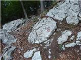 Čadovlje pri Tržiču - Kušpergarjev turn (Kušpergarjevi turni)