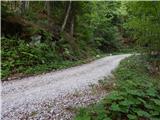 Bohinjska Bistrica - Planina Za Črno goro