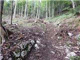 Bohinjska Bistrica - Planina Za Črno goro