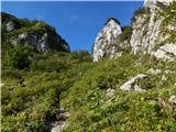 Bohinjska Bistrica - Rušni vrh