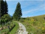 Bohinjska Bistrica - Planina Za Črno goro