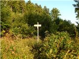 Podkanja vas / Wildenstein - Hofovška planina / Hoffmansalpe