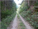 Podkanja vas / Wildenstein - Kapelška koča / Eisenkappler Hütte