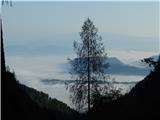 Podkanja vas / Wildenstein - Kapelška koča / Eisenkappler Hütte