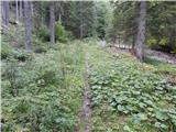 Podkanja vas / Wildenstein - Kapelška koča / Eisenkappler Hütte