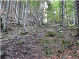 Podkanja vas / Wildenstein - Kapelška koča / Eisenkappler Hütte