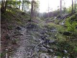 Podkanja vas / Wildenstein - Kapelška koča / Eisenkappler Hütte