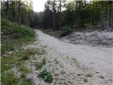 Podkanja vas / Wildenstein - Kapelška koča / Eisenkappler Hütte