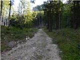 Podkanja vas / Wildenstein - Kapelška koča / Eisenkappler Hütte