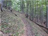 Podkanja vas / Wildenstein - Kapelška koča / Eisenkappler Hütte