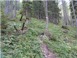 Podkanja vas / Wildenstein - Kapelška koča / Eisenkappler Hütte