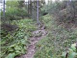 Podkanja vas / Wildenstein - Kapelška koča / Eisenkappler Hütte