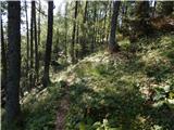 Podkanja vas / Wildenstein - Kapelška koča / Eisenkappler Hütte