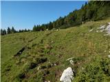 Podkanja vas / Wildenstein - Kapelška koča / Eisenkappler Hütte