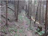 Rebrca / Rechberg - Kapelška koča / Eisenkappler Hütte