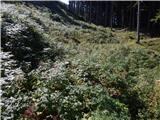 Rebrca / Rechberg - Kapelška koča / Eisenkappler Hütte