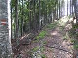 Rebrca / Rechberg - Kapelška koča / Eisenkappler Hütte