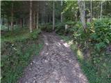 Rebrca / Rechberg - Kapelška koča / Eisenkappler Hütte