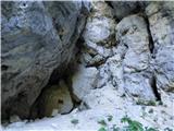 Malga Crocifisso - Rifugio Baita Cuz