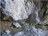 Malga Crocifisso - Rifugio Baita Cuz