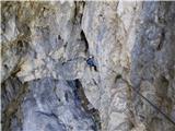 Malga Crocifisso - Rifugio Baita Cuz