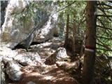 Malga Crocifisso - Rifugio Baita Cuz