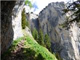 Malga Crocifisso - Rifugio Baita Cuz