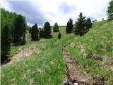 Malga Crocifisso - Col de Valvacin