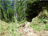 Malga Crocifisso - Col de Valvacin