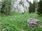 Malga Crocifisso - Col de Valvacin