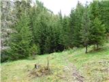 Malga Crocifisso - Rifugio Alpino Buffaure