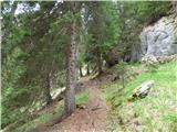 Malga Crocifisso - Col de Valvacin