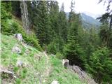 Malga Crocifisso - Rifugio Baita Cuz