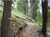 Malga Crocifisso - Col de Valvacin