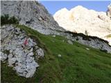 Rifugio Primula - Forcella Marmarole