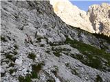 Rifugio Primula - Forcella Marmarole