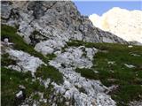 Rifugio Primula - Forcella Marmarole