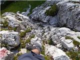 Rifugio Primula - Forcella Marmarole