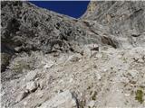 Rifugio Primula - Forcella Marmarole