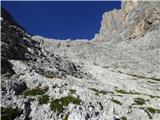 Rifugio Primula - Forcella Marmarole