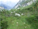 Rifugio Primula - Forcella Marmarole